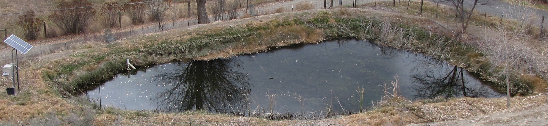 Attached picture Pond half drained with leaf litter.jpg
